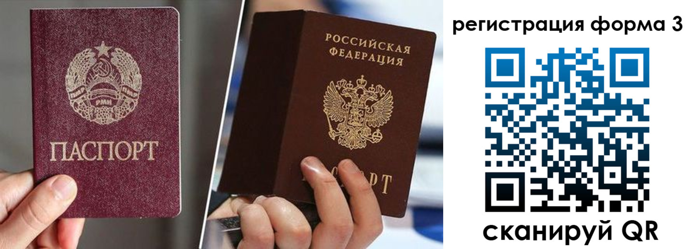 временная регистрация госуслуги в Елизово